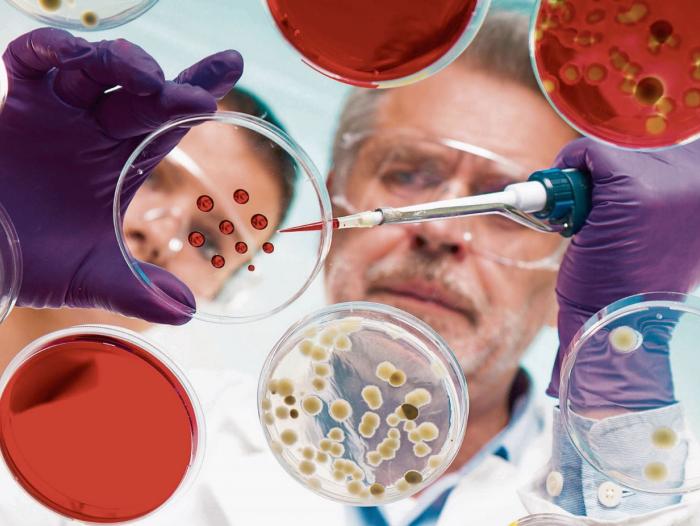 «Tinta viva» permite la impresión 3D de órganos humanos