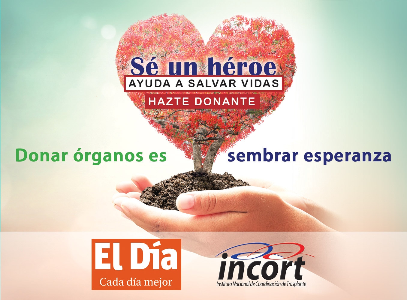 Donación de órganos y tejidos