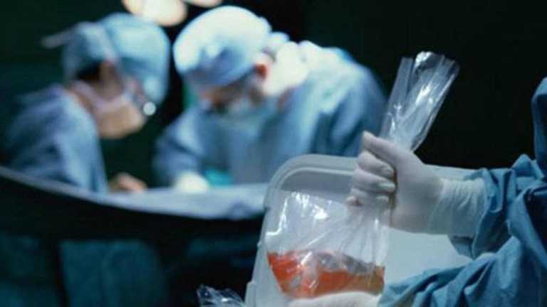 ¿Cuáles órganos del cuerpo se pueden donar y cuáles no?